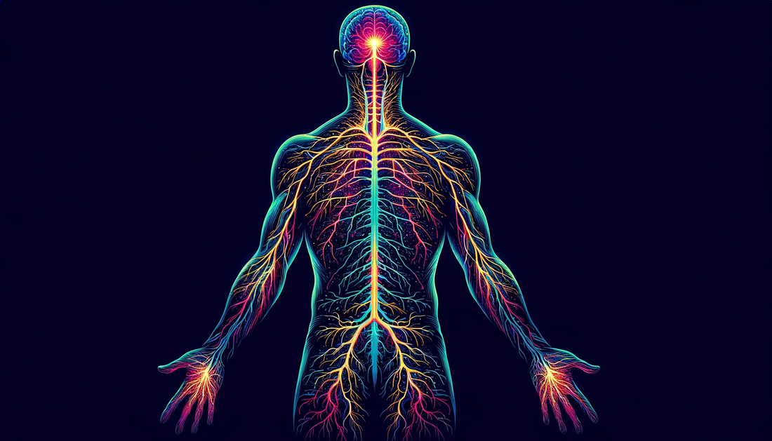 Multiple Sclerosis Treatment – Only with a Neurologist?